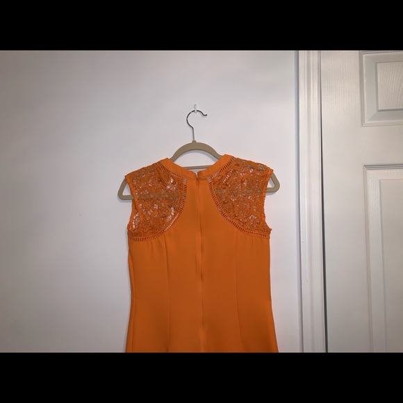 Orange Dress with Lace Detailing - Picture 10 of 11